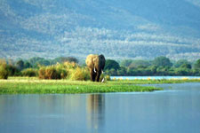 Zimbabwe-Mana Pools-Canoe Safari from Kariba to Mana Pools